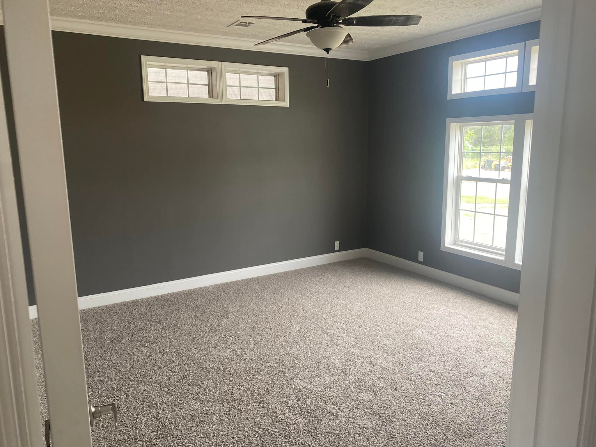 Empty room with dark gray walls, beige carpet, and white trim. Large windows let in natural light. A ceiling fan is mounted near the center.
