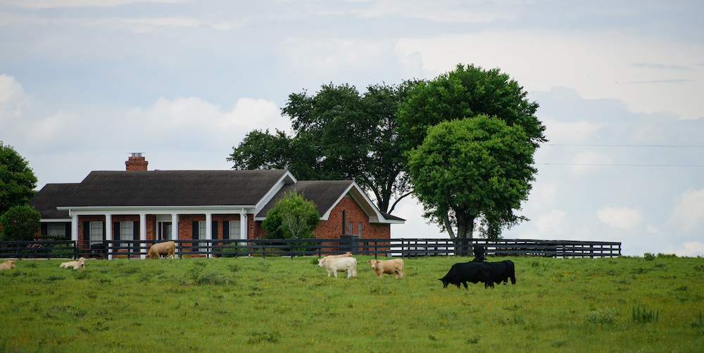 A peaceful countryside scene with a red-brick house, surrounded by lush green trees and a wooden fence. Cows graze in the foreground under a cloudy sky.