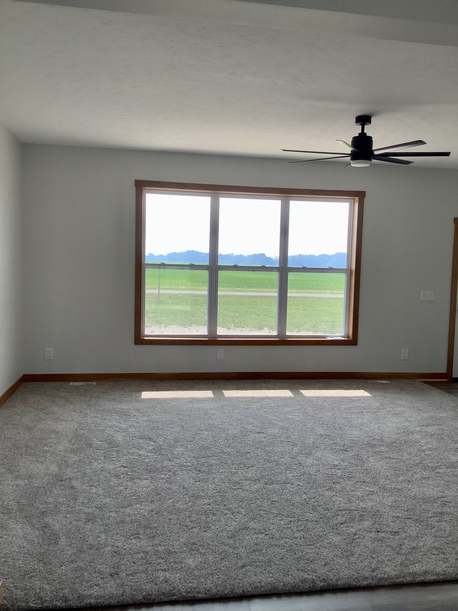 Bright room with a large window overlooking a green field. Light gray carpet, white walls, and a black ceiling fan create a calm, airy ambiance.