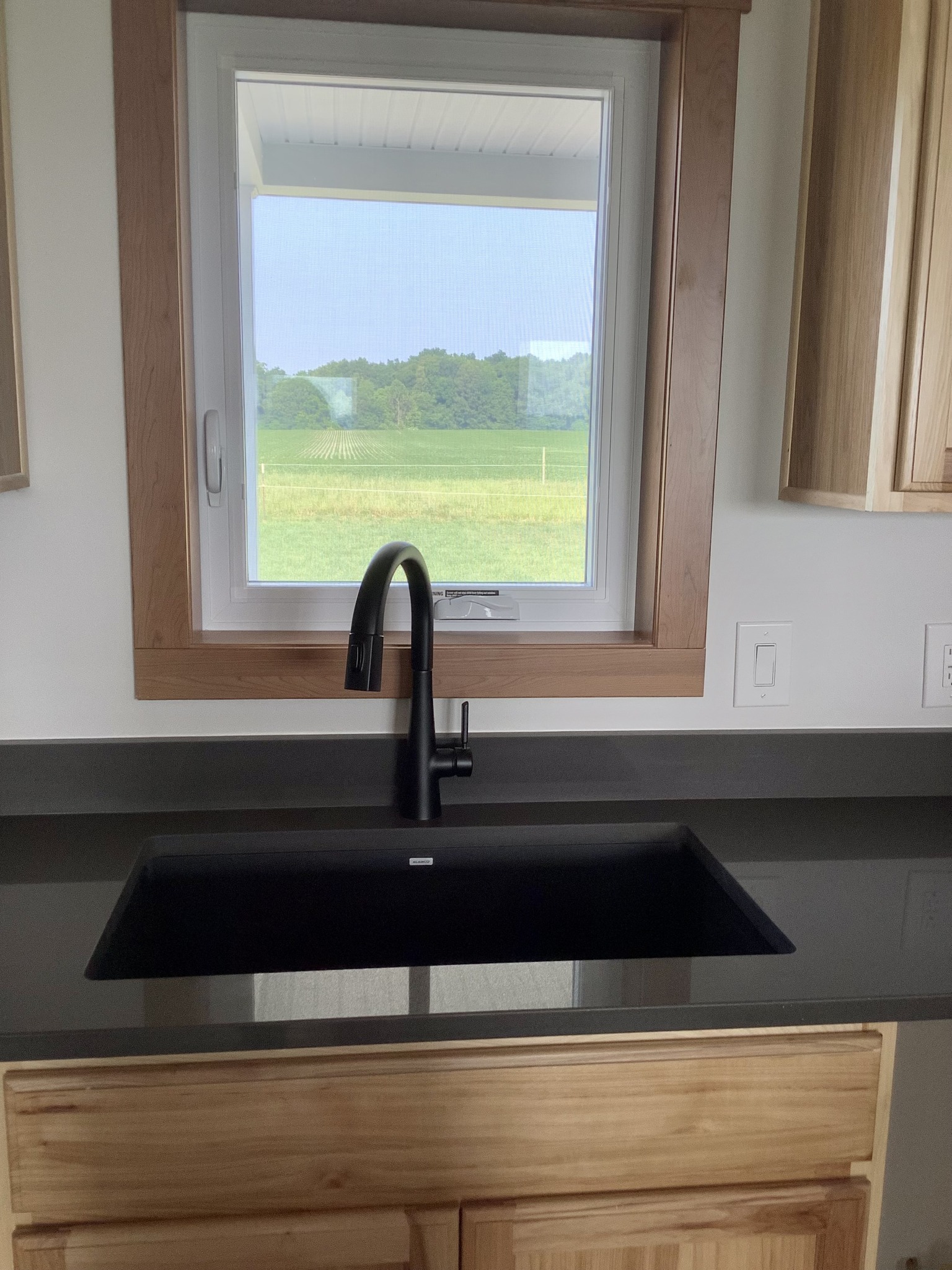 Kitchen sink with a black faucet and sleek countertop beneath a window, overlooking a lush green field and blue sky. Warm, inviting atmosphere.