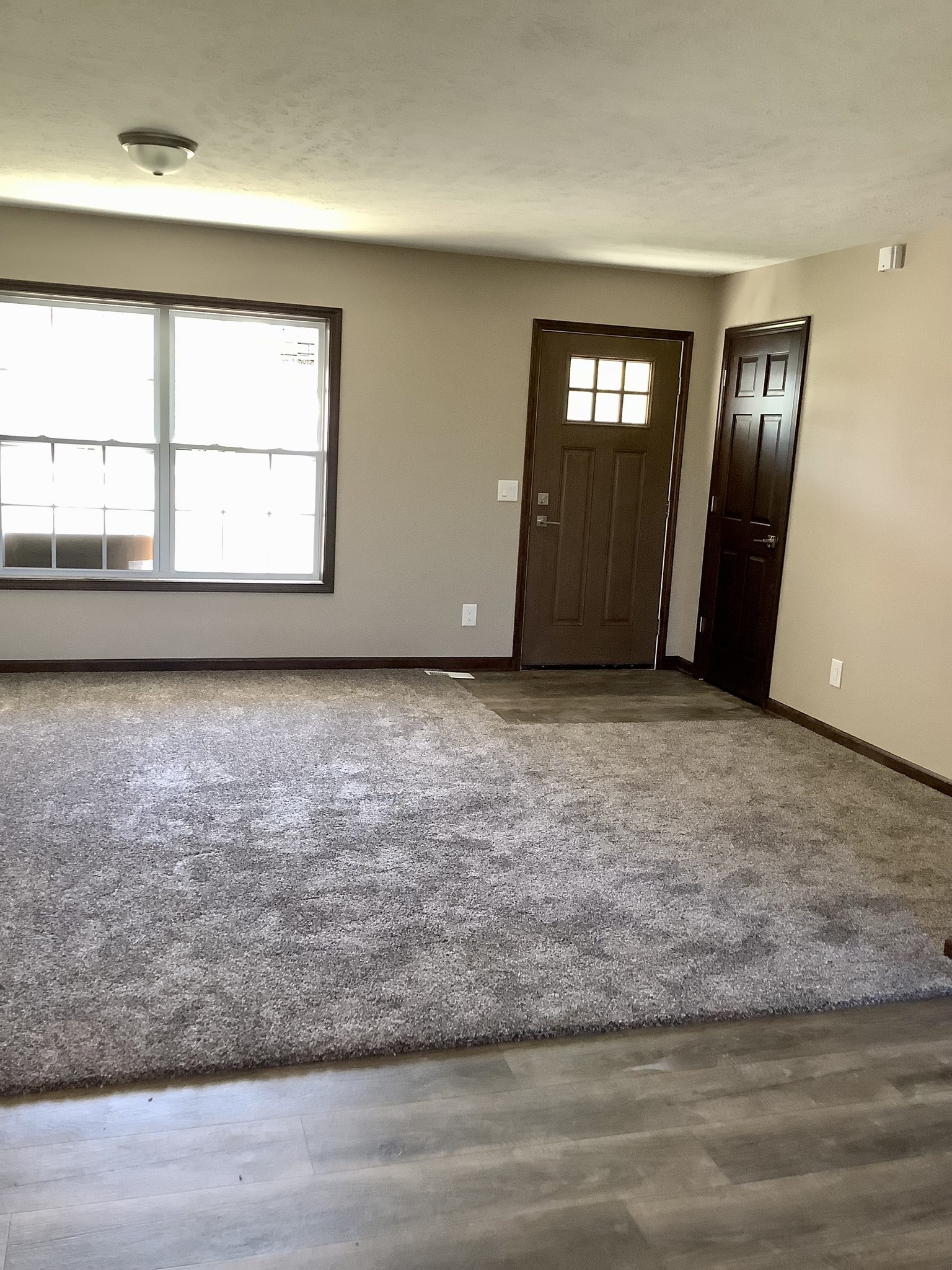 A sunlit room with beige walls, a large window on the left, a brown front door, and gray carpeted area transitioning to wooden flooring.