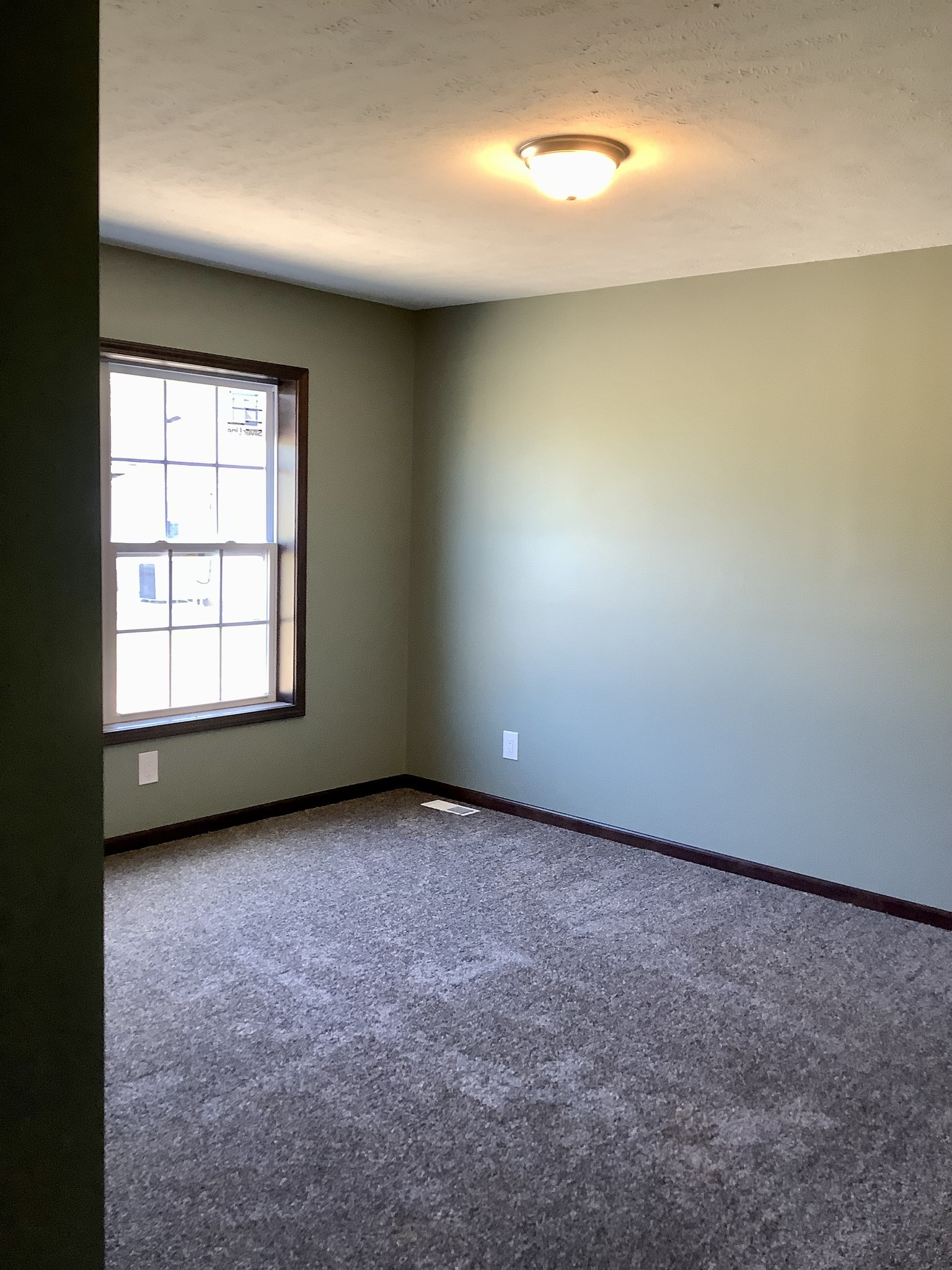 An empty room with green walls, beige carpet, wooden trim, and a large window. A ceiling light adds warmth, creating a serene atmosphere.