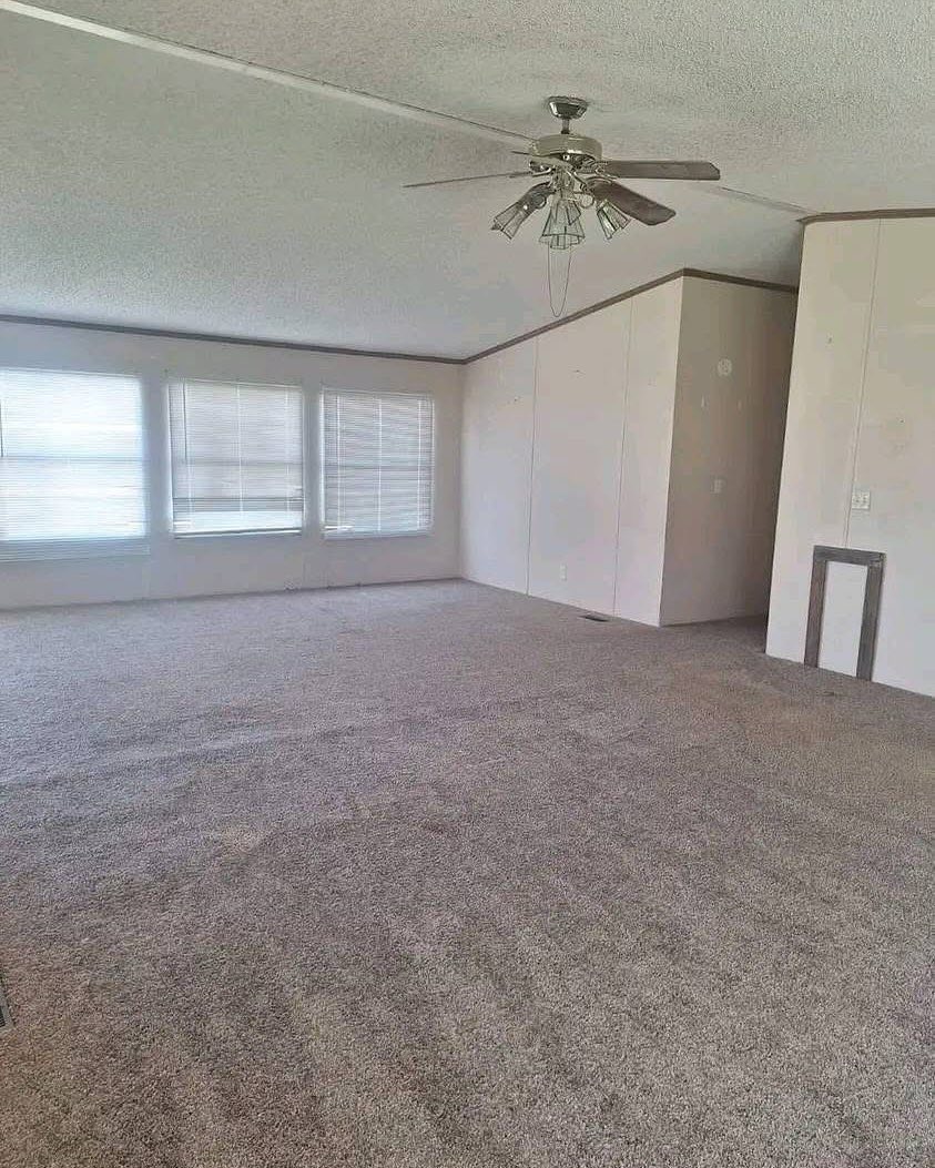 Spacious empty room with beige carpet, three large windows with blinds, and a ceiling fan. The walls are light-colored, creating an airy feel.
