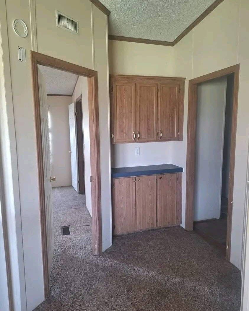Hallway view with beige walls, brown carpet, and wooden cabinets. Two doorways lead to other rooms, creating a neutral and welcoming atmosphere.