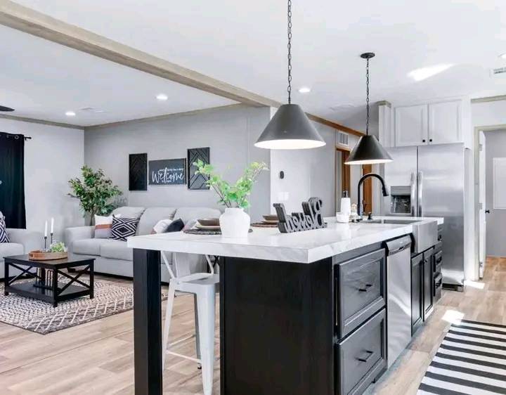 Bright, open kitchen and living area with modern decor. Features a black island, pendant lights, gray sofa, plants, and a cozy, welcoming ambiance.