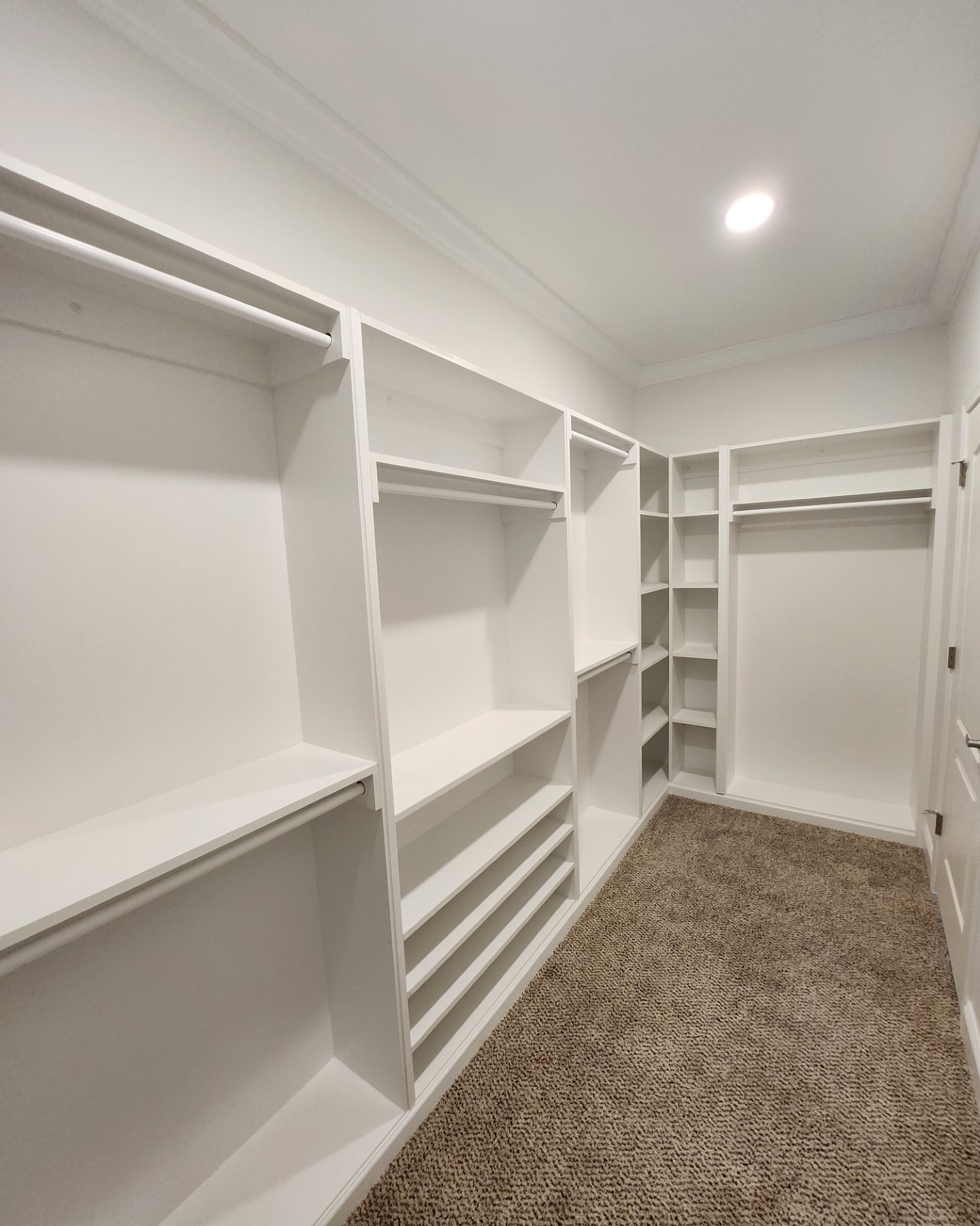 Spacious, empty walk-in closet with white shelves and hanging racks on both sides. Beige carpet flooring adds warmth under bright ceiling light.