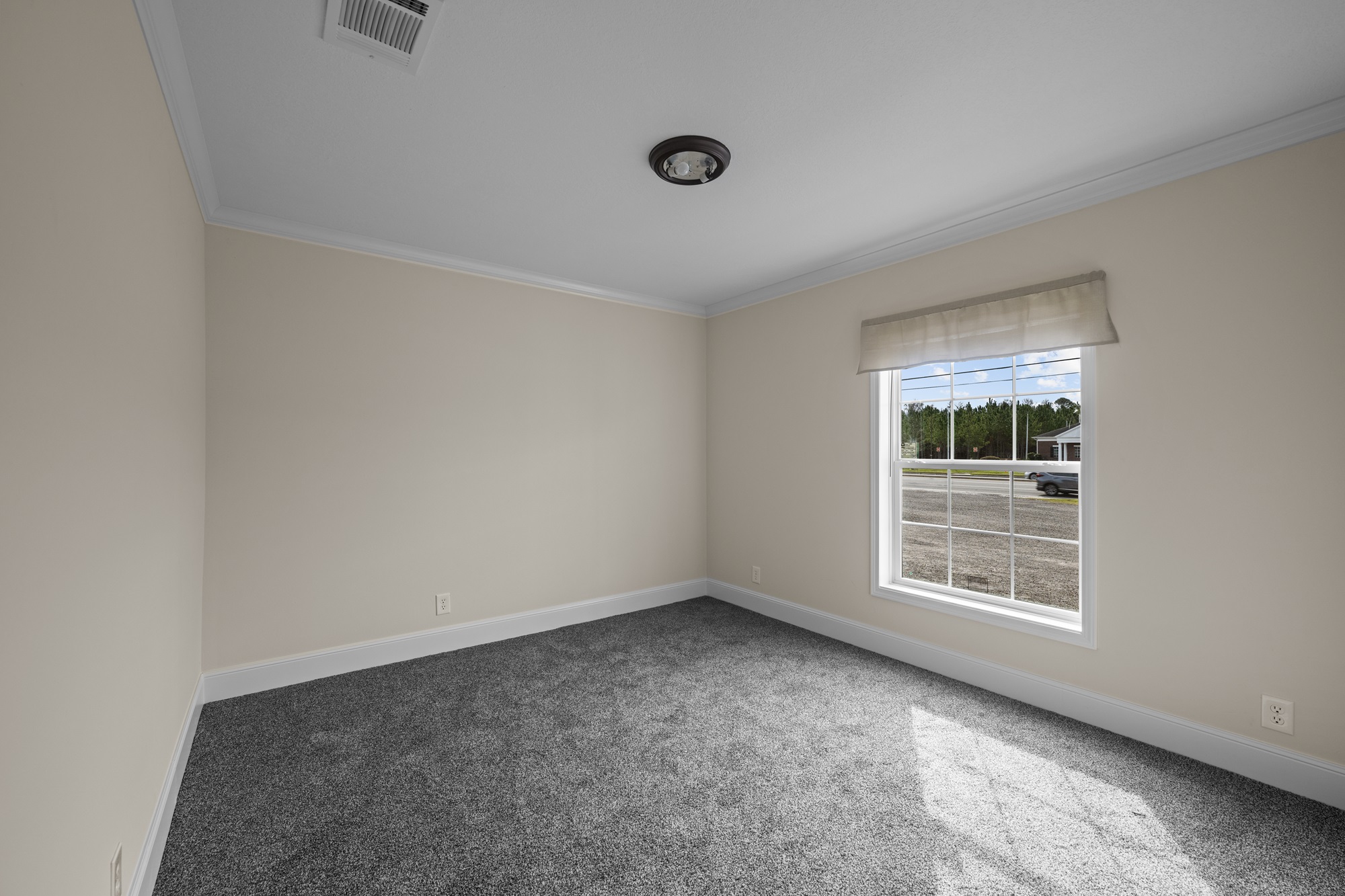 Empty room with beige walls, gray carpet, and a ceiling light. A window with a view of trees and road lets in natural light. Calm and neutral tone.